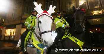 Police on horseback could help crackdown on Christmas crime in Sunderland