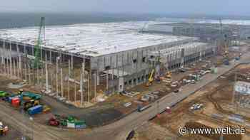 Tesla muss Arbeiten auf der Gigafactory-Baustelle erneut stoppen