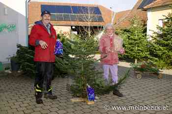 Bezirk Neunkirchen: Und der schiache Christbaum geht an... - Neunkirchen - meinbezirk.at