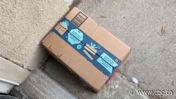 She put cat litter in an Amazon package, and a porch pirate stole it 40 minutes later