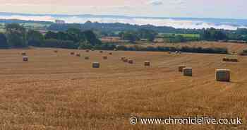Council says 'NO' to coal mine plans on Newcastle green belt