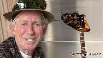 Keith Richards Gets Cockroach Named After Him for 77th Birthday