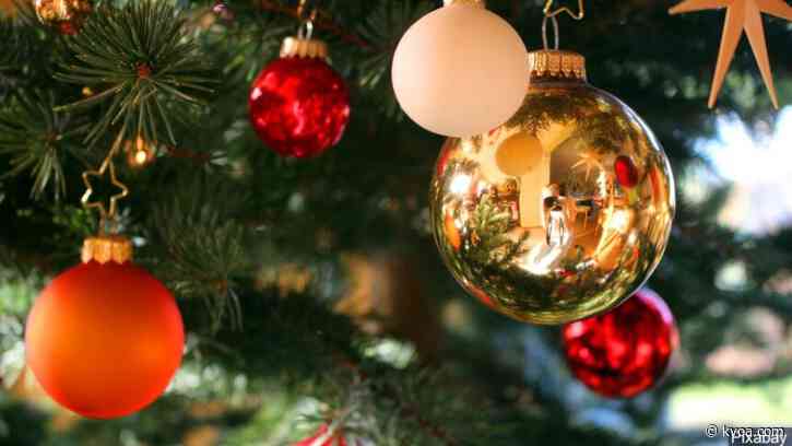 Sierra Vista offers free Christmas tree recycling program
