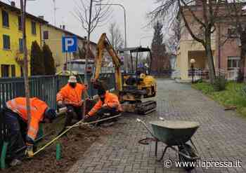 Soliera, messi a dimora 123 nuovi alberi: costo 60mila euro - La Pressa