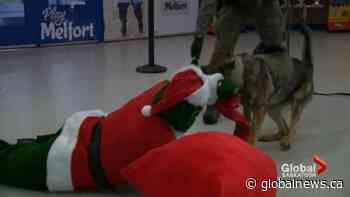 K-9 unit training with holiday theme