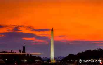 Get Out There: Local Arts And Cultural Trends Of 2020 - WAMU 88.5