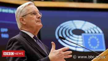 'Just a few hours' left to agree Brexit trade deal, says Michel Barnier