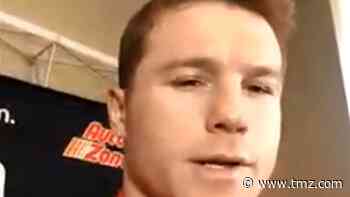 Canelo Alvarez Says Jake & Logan Paul Are Disrespecting Boxing, Come Spar with Me