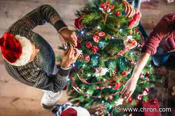 Here's how to recycle your Christmas tree in the Houston area - Chron