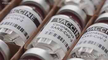 COVID-19 vaccine could arrive as soon as Monday, says Houston hospital CEO - KHOU.com