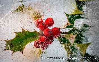 Camera club challenge: Sum up Christmas in a photograph