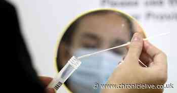 Everything you need to know about the new coronavirus strain