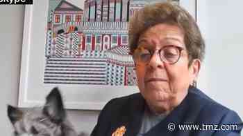 Rep. Shalala's Dog, Fauci, Barks & Fusses Through CNN Interview