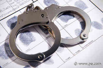 Snake bites and football injuries: Menifee woman accused of medical insurance fraud - Press-Enterprise