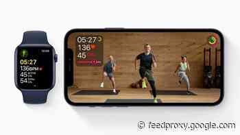 Apple releases iOS 14.4 and iPadOS 14.4 Public Beta 1