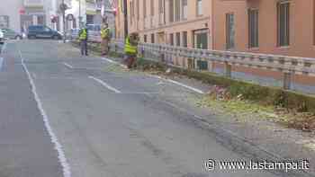 E alla fine per tagliare l’erba alta quattro metri sono scesi in strada i cittadini - La Stampa