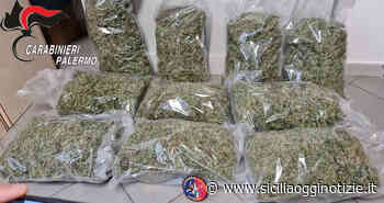 Dieci chili di "erba" in casa: arrestato 47enne - Sicilia Oggi Notizie