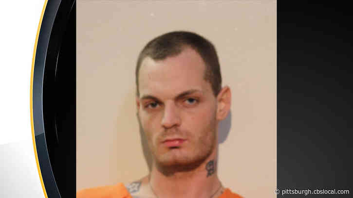 28-Year-Old Dylan Lesnik Arrested, Facing Criminal Homicide Charge In Coal Center Stabbing Case