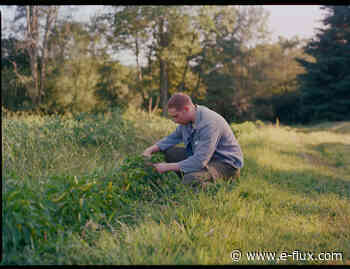 Softening Cultures - Architecture - E-Flux