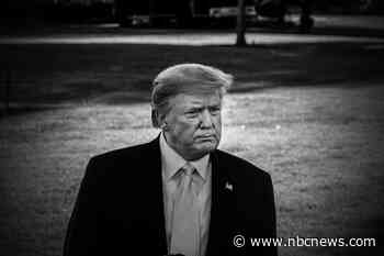 Trump's ridiculous toilet obsession is the perfect metaphor for his shameful legacy