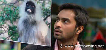 Trailer for India's Great Monkey Battle Comedy Film 'Eeb Allay Ooo!'