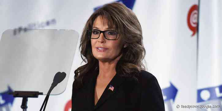 Sarah Palin filmed a YouTube video calling for Julian Assange to be pardoned, despite being previously targeted by WikiLeaks