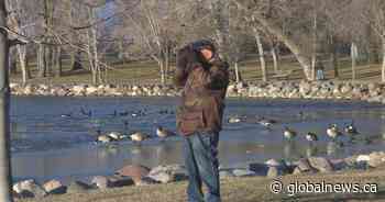 Annual Christmas Bird Count finds nearly 60 different species in and around Lethbridge