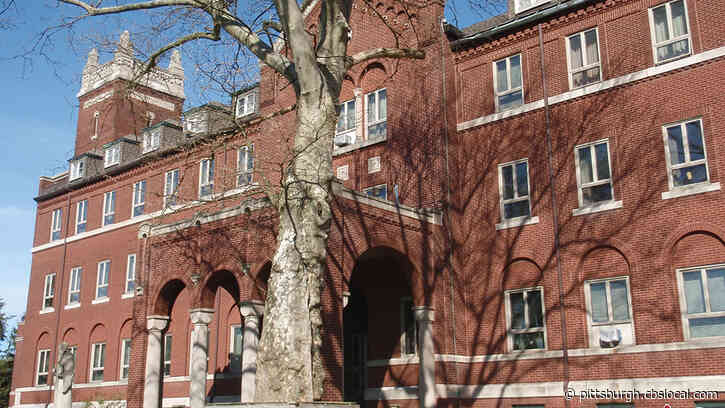 COVID-19 In Pittsburgh: 24 Community Members Of Benedictine Sisters Of Pittsburgh Test Positive For COVID-19