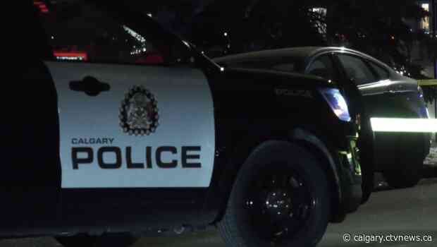 Police seek driver after several vehicles in northeast Calgary damaged