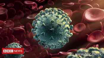 New coronavirus variant: What do we know?