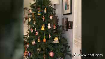 Woman wakes up with a raccoon in her Christmas tree