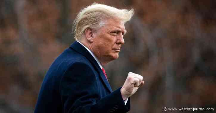 Trump Campaign Takes Election Challenge to the Supreme Court