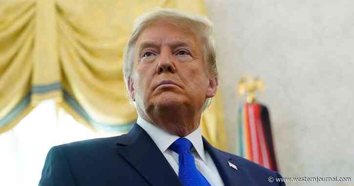 Trump Signs Law Paving Way for Rogue Chinese Companies To Be Booted from US Stock Exchanges
