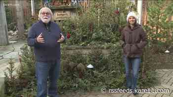 Grow with KARE: Winter greens for indoors and out