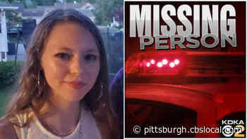 Police Locate Missing 18-Year-Old Kaylea Neupauer Safe