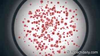 New Method to Boost Supply of Life-Saving Blood Stem Cells