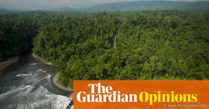 Time for some home truths about deforestation | Laura Spinney