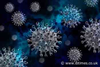 Coronavirus invades the brain and causes adverse effects, says study