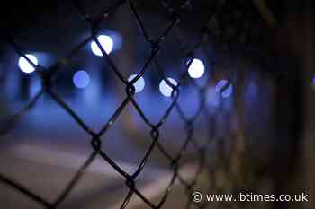 Twenty percent of US prisoners tested positive for COVID-19; more than 1,700 have already died