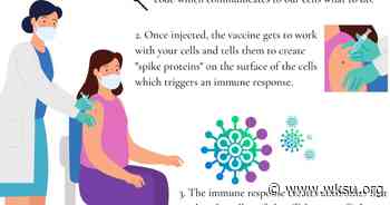 Stark County Medical Director Says Despite Coronavirus Vaccine, People Need to Stay Vigilant - WKSU News