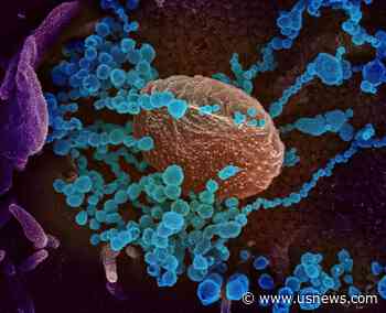 New COVID-19 Strain Spreads More Quickly, UK Medical Chief Says - U.S. News & World Report