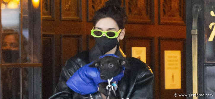 Dua Lipa Cozies Up with Dog Dexter in NYC After 'SNL' Performance