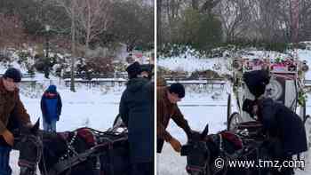 NYC Horse Collapses on Icy Road During Carriage Ride, Forced to Continue