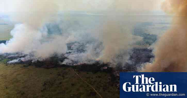 Global food industry on course to drive rapid habitat loss – research