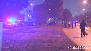 Driver killed in NW Houston crash after hitting tree - KTRK-TV