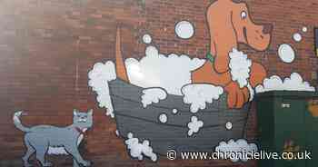 Council decides whether dog salon's 'eyesore' mural can stay