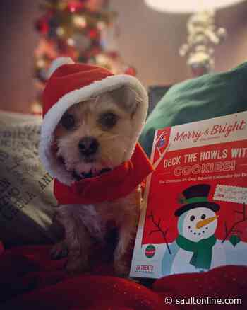 Holiday Pic of the Day: Candice Nixon