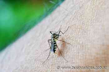Con ojos de mosquito | Noticias - buenosaires.gob.ar