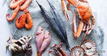 Catch the best seafood delivery services of 2021     - CNET