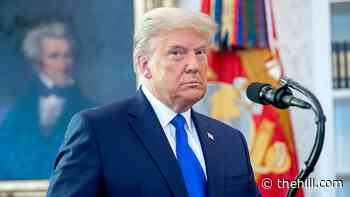 Omnibus doesn't block Trump order allowing burrowing of political appointees
